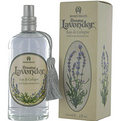 ANNIE OAKLEY EVENING LAVENDER Perfume by Annie Oakley