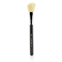 Sigma Beauty