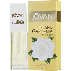 Jovan Island Gardenia Jovan Island Gardenia