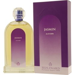Les Fleurs Jasmin Les Fleurs Jasmin