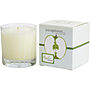 APPLE WOOD - LIMITED EDITION Candles by Exceptional Parfums #209946